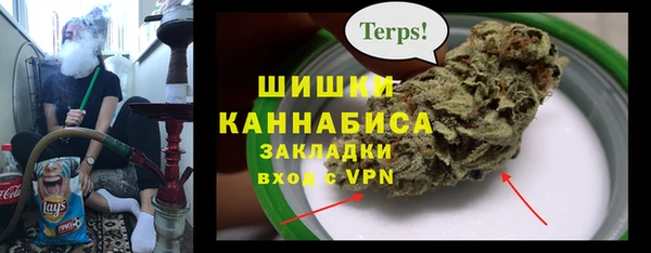 spice Алзамай