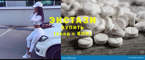 ECSTASY Ельня