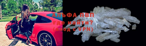 spice Алзамай