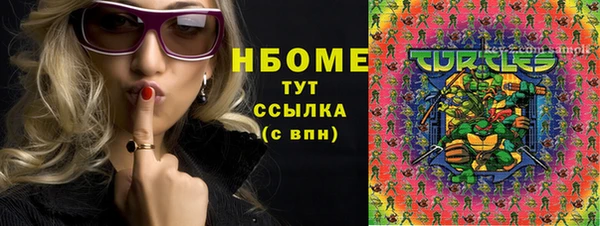 гидра Елизово