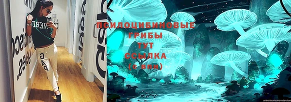 spice Алзамай