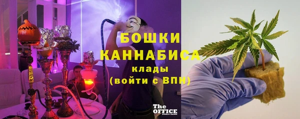ГАЛЛЮЦИНОГЕННЫЕ ГРИБЫ Абаза